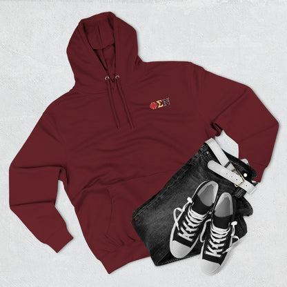 Phi Sigma Nu Fleece Graphic Hoodie